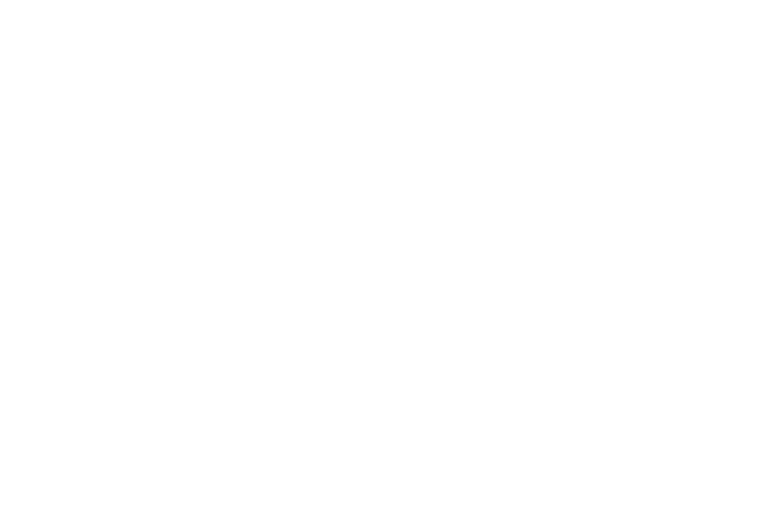 hillthornltd plumbing heating & property maintenance logo upscaled white